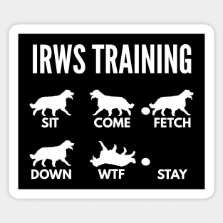 IWRS Training Irish Red and White Setter Tricks Sticker